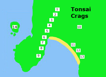 tonsai